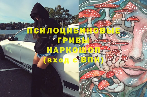 мяу мяу мука Алзамай